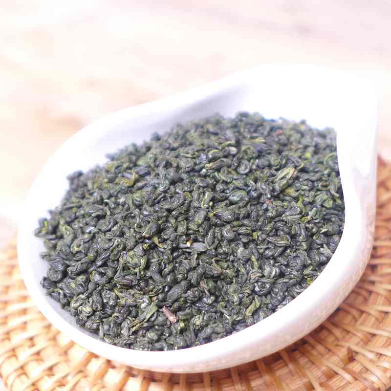 Jade Green Snail 2025