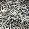 Silver Needle Yunnan